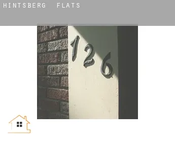 Hintsberg  flats