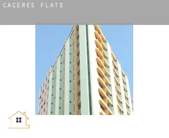 Caceres  flats