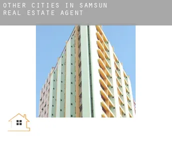 Other cities in Samsun  real estate agent