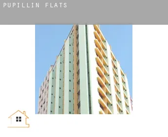 Pupillin  flats