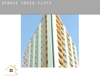Spruce Creek  flats