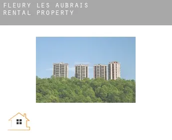 Fleury-les-Aubrais rental property