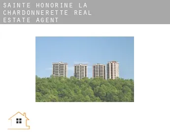 Sainte-Honorine-la-Chardonnerette  real estate agent