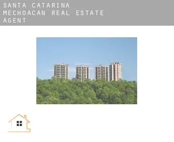 Santa Catarina Mechoacán  real estate agent