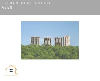 Treuen  real estate agent