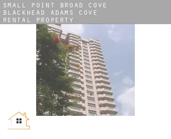 Small Point-Broad Cove-Blackhead-Adams Cove  rental property