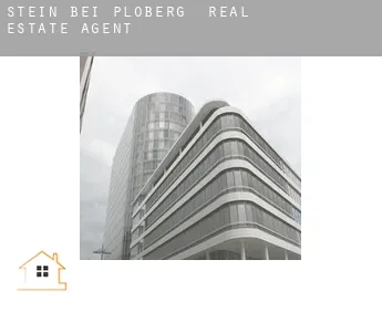 Stein bei Plößberg  real estate agent