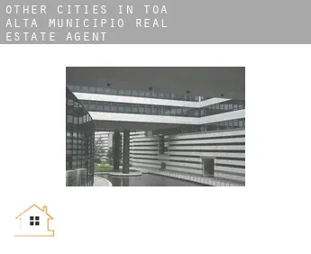 Other cities in Toa Alta Municipio  real estate agent