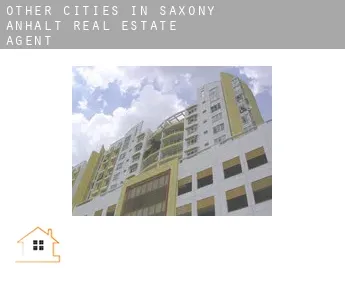 Other cities in Saxony-Anhalt  real estate agent