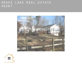 Grass Lake  real estate agent