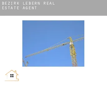 Bezirk Lebern real estate agent