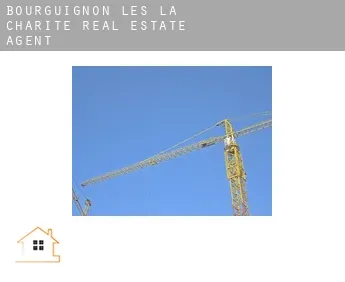 Bourguignon-lès-la-Charité  real estate agent