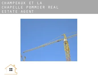 Champeaux-et-la-Chapelle-Pommier  real estate agent