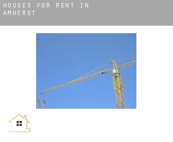 Houses for rent in  Amherst