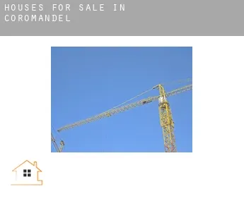 Houses for sale in  Coromandel