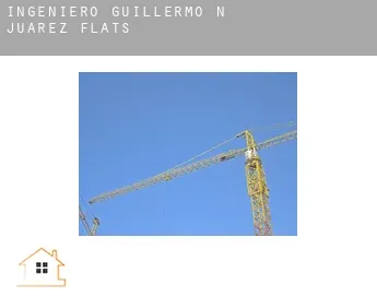 Ingeniero Guillermo N. Juárez  flats