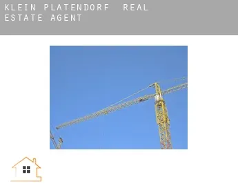 Klein Platendorf  real estate agent
