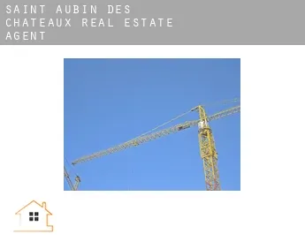 Saint-Aubin-des-Châteaux  real estate agent
