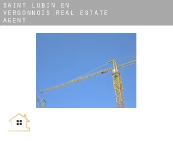 Saint-Lubin-en-Vergonnois  real estate agent