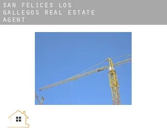 San Felices de los Gallegos  real estate agent