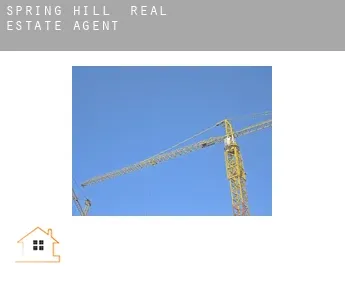 Spring Hill  real estate agent