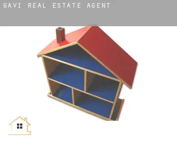 Gavi  real estate agent