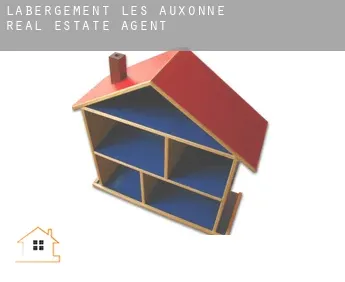 Labergement-lès-Auxonne  real estate agent
