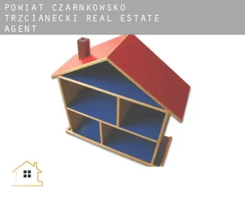 Powiat czarnkowsko-trzcianecki  real estate agent