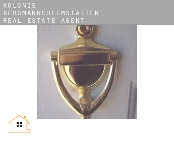 Kolonie Bergmannsheimstätten  real estate agent