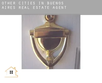 Other cities in Buenos Aires  real estate agent