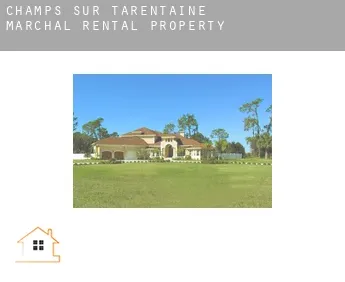 Champs-sur-Tarentaine-Marchal  rental property