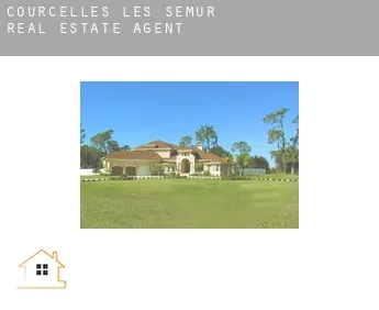Courcelles-lès-Semur  real estate agent