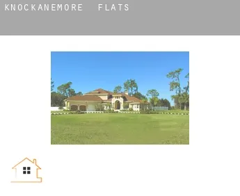 Knockanemore  flats