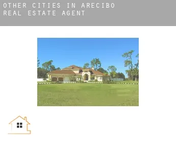 Other cities in Arecibo real estate agent