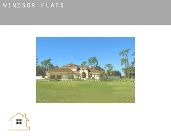 Windsor  flats