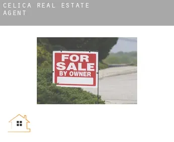 Celica  real estate agent