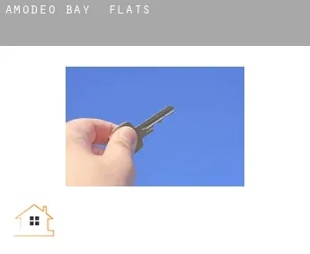 Amodeo Bay  flats