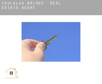 Coolalug Bridge  real estate agent