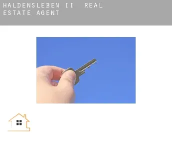 Haldensleben II  real estate agent