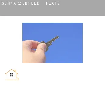 Schwarzenfeld  flats