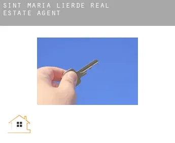 Sint-Maria-Lierde  real estate agent