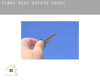 Tibro  real estate agent
