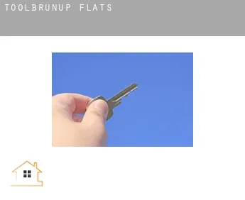 Toolbrunup  flats