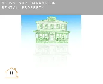 Neuvy-sur-Barangeon  rental property