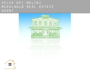 Mühlwald  real estate agent