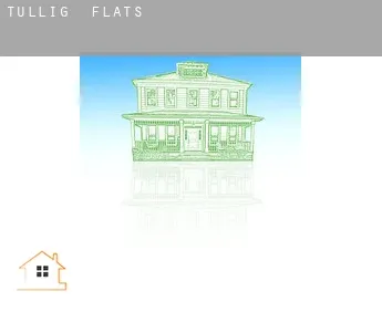 Tullig  flats
