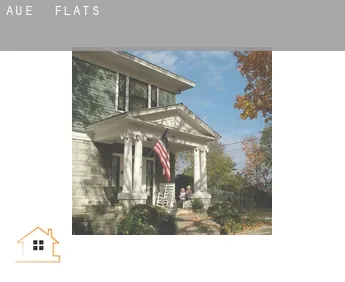 Aue  flats