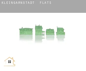 Kleingarnstadt  flats