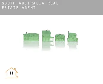 South Australia  real estate agent