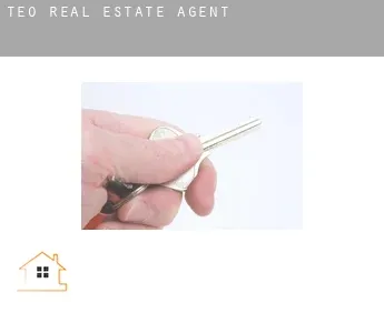 Teo  real estate agent